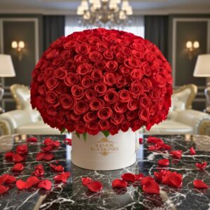 Flores en Cajas Lujo 300 Rosas Rojas