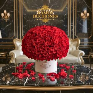 Passion 300 Rosas