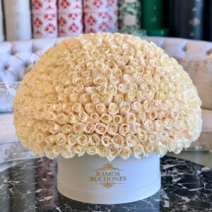 Flores en Cajas Caja con 300 rosas blancas