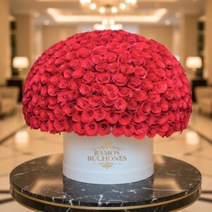 Flores en Cajas Caja con 200 rosas