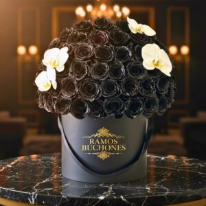 Ramos de Orquídeas Caja de 100 rosas negras y orquídeas.