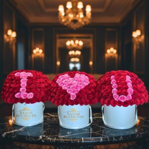 Flores en Cajas Cajas de 600 rosas
