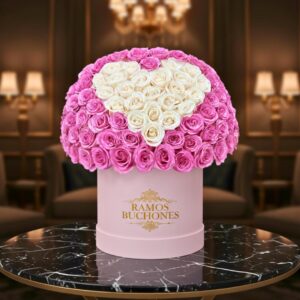 Flores en Cajas Caja con 228 rosas