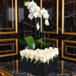 Ramos de Orquídeas Ramo de Orquídeas